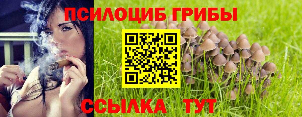 Галлюциногенные грибы Cubensis Сарапул