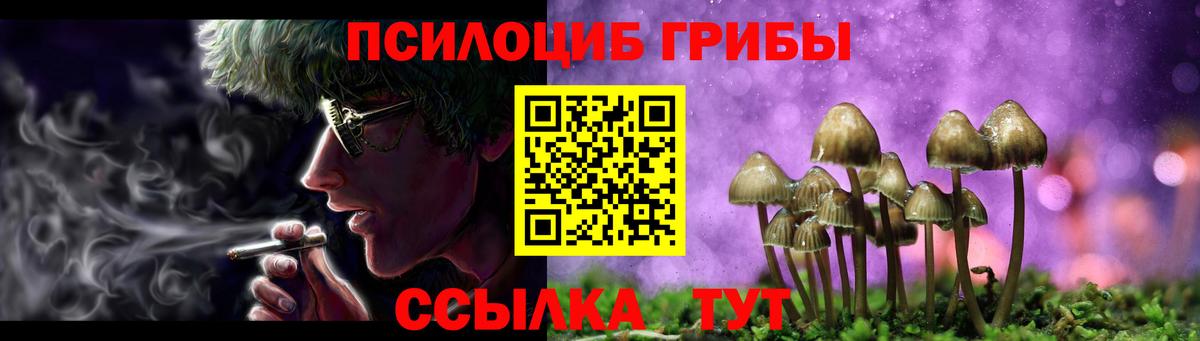 Псилоцибиновые грибы GOLDEN TEACHER  Вход с VPN  Сарапул 